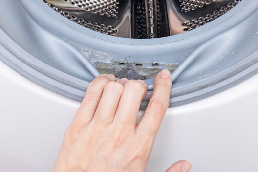Pelėsį iš skalbimo mašinos gumos pašalinkite be vargo: štai, ką reikia daryti (nuotr. 123rf.com)  