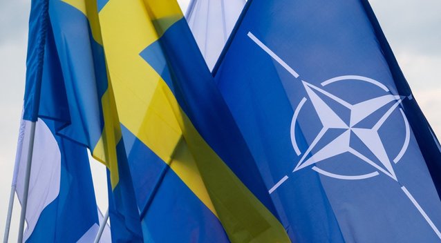Prezidentas pasveikino Švediją tapus 32-ąja NATO nare: esame saugesni ir stipresni  (nuotr. SCANPIX)