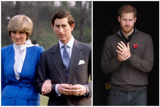 Princesė Diana, princas Charles ir princas Harry (tv3.lt fotomontažas)