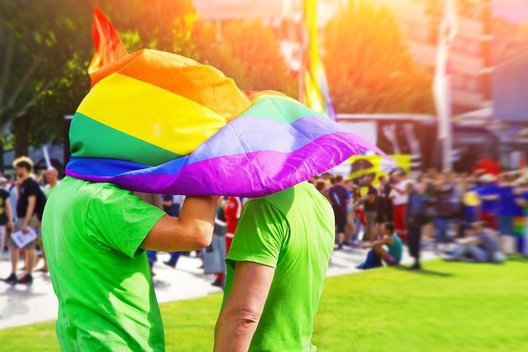 LGBT vėliava (nuotr. Fotolia.com)