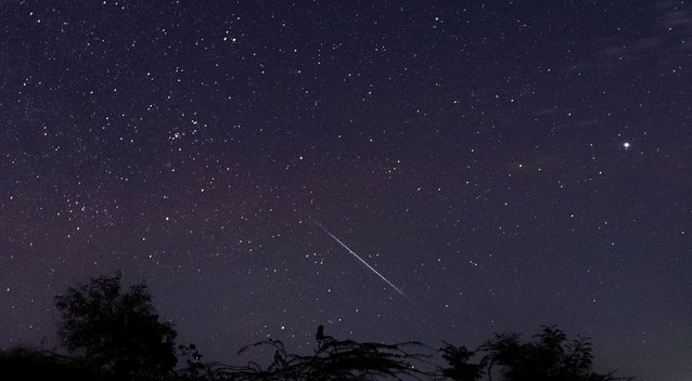 Geminidų meteorų lietus (nuotr. SCANPIX)