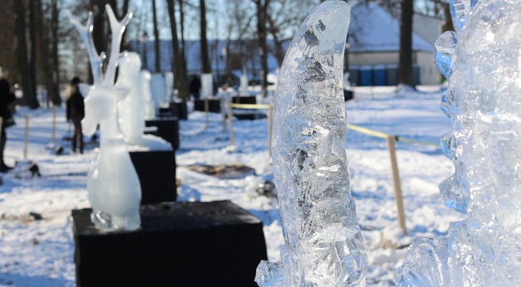 Pakruojo dvare vyks ledo skulptūrų festivalis  (nuotr. Organizatorių)