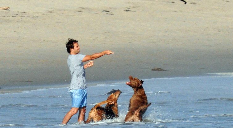 Vaikinas su šunimis paplūdimyje (nuotr. SCANPIX)