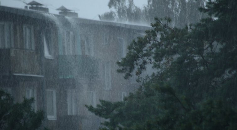 Lietuvą nuplovė smarkus lietus, vėjas vartė medžius (nuotr. iš „Facebook“ grupės „Orų entuziastai“)  