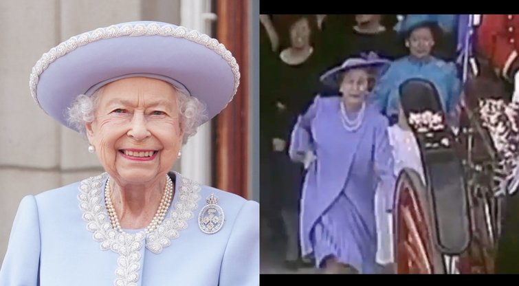 Plinta vaizdo įrašas, kuris prajuokino tūkstančius: karalienei teko pabėgioti (tv3.lt koliažas)