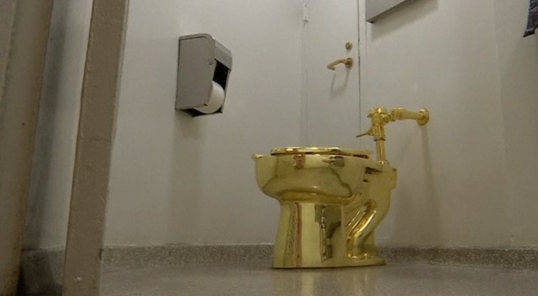 Aukso tualetas (nuotr. TV3)