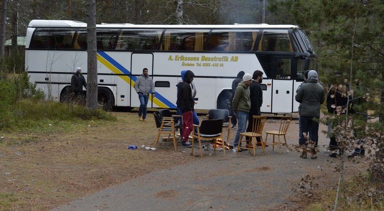 Nusivylę migrantai bijo gyventi Švedijos miškų glūdumoje (nuotr. SCANPIX)