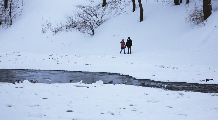 Užšalusi upė (nuotr. Broniaus Jablonsko)