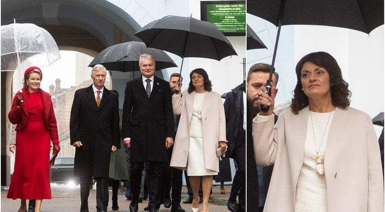 Pamačiusi skėtį prezidentui laikančią Nausėdienę, kaunietė pakraupo: „Jokios pagarbos moteriai“ (tv3.lt fotomontažas)