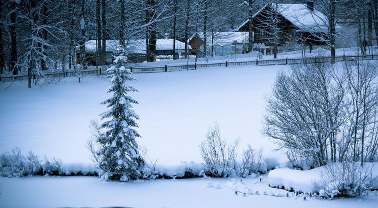 Žiema (nuotr. 123rf.com)