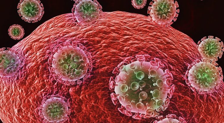 ŽIV virusas (nuotr. 123rf.com)