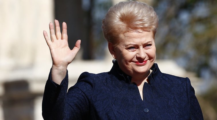 D.Grybauskaitė: Lietuva nori būti ES priešakyje (nuotr. SCANPIX)