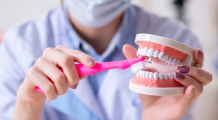 Dantų priežiūra (nuotr. Shutterstock.com)