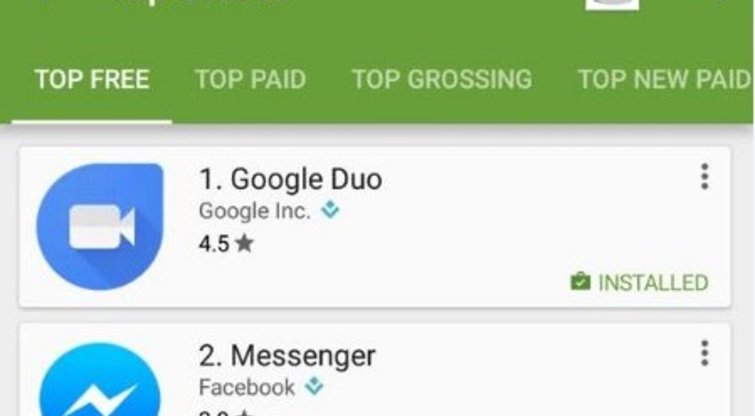 Google Duo šovė į viršų pagal atsisiuntimus (nuotr. Gamintojo)