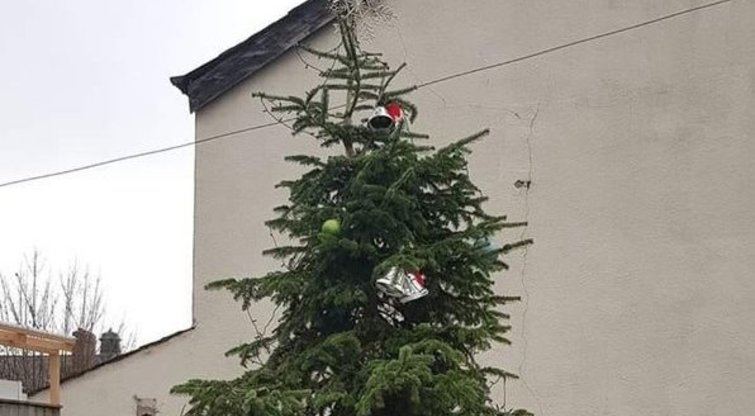 Pati bjauriausia kalėdinė eglė: apmiręs medis atrodo it pasityčiojimas (nuotr. Twitter)