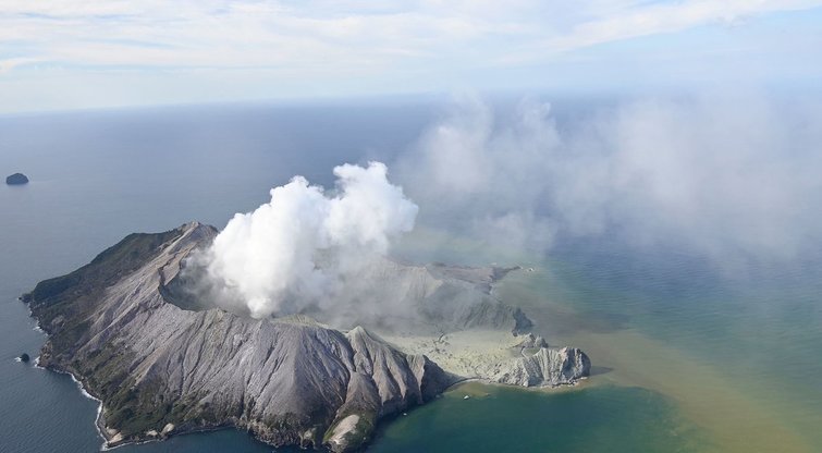 Naujojoje Zelandijoje išsiveržė turistų pamėgtas ugnikalnis (nuotr. Scanpix)  