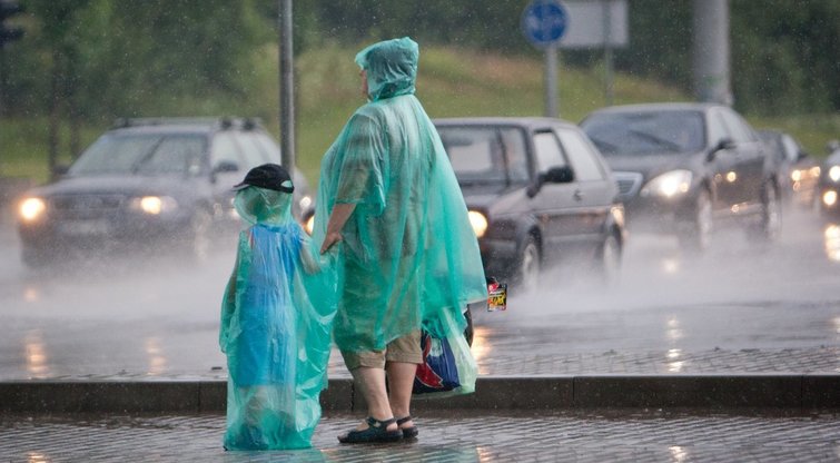 Lietus, liūtis Šarūnas Mažeika/FOTOBANKAS nuotr.