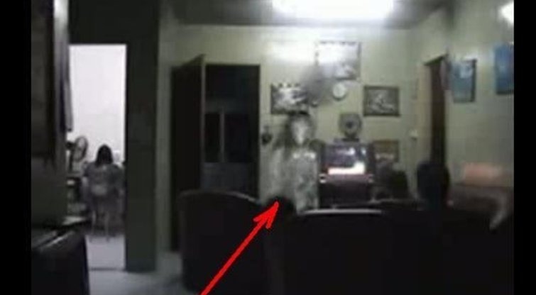 Keisti šešėliai britės namuose (nuotr. YouTube)
