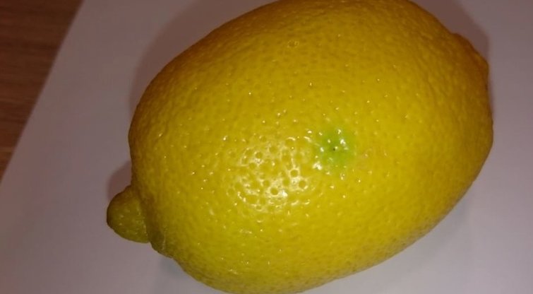 Subadyta citrina (nuotr. skaitytojo)