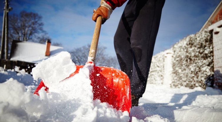 Sniego kasimas  (nuotr. Shutterstock.com)
