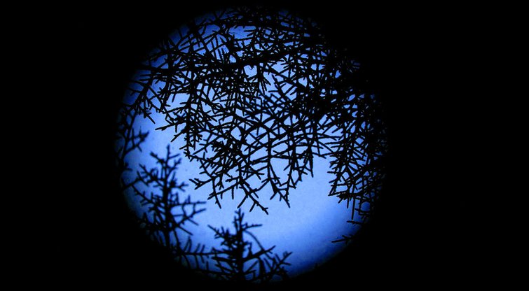Mėlynasis Mėnulis (nuotr. SCANPIX)