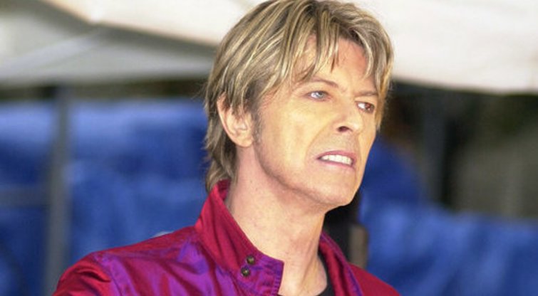 Davidas Bowie (nuotr. Vida Press)