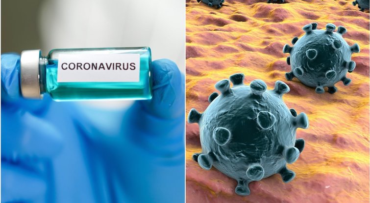 Koronavirusas (nuotr. 123rf.com)