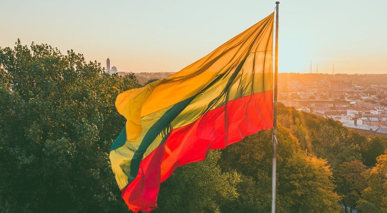 Lietuva – lyderė ES pagal paslaugų plėtrą tiek per mėnesį, tiek ir per metus („Flagmanas“, „Koala print“ nuotr.)  