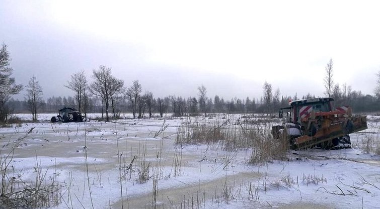 Gamtininkai džiaugiasi šaltu oru (nuotr. Baltijos aplinkos forumo)
