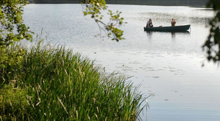 Šiais metais poilsiaujantieji prie ežerų didelių bėdų nekelia  (nuotr. Fotodiena.lt/Audriaus Bagdono)