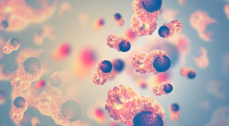 Vėžinės ląstelės (nuotr. Shutterstock.com)