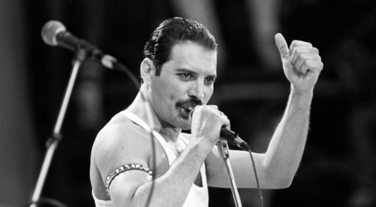 Freddie Mercury gyvenimo akimirkos (nuotr. Organizatorių)