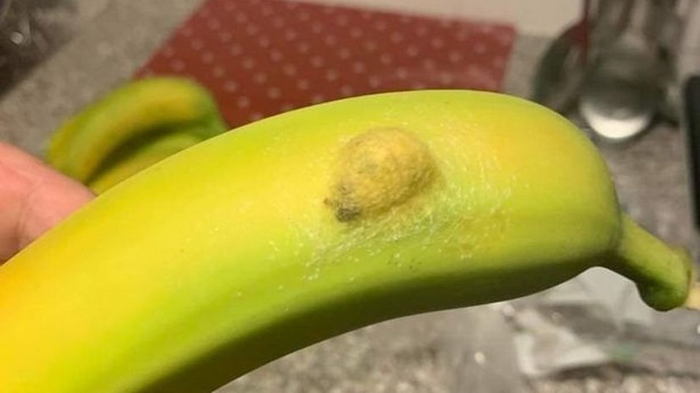 Pamačiusi, kas slepiasi bananuose iš parduotuvės, moteris ėmė klykti: to nelinkėtų niekam (nuotr. facebook.com)