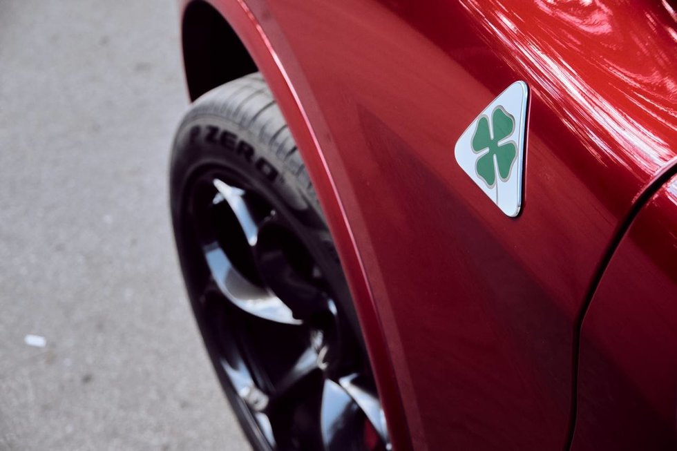 Alfa Romeo Stelvio Quadrifoglio (nuotr. Aivaras Grigelevičius)