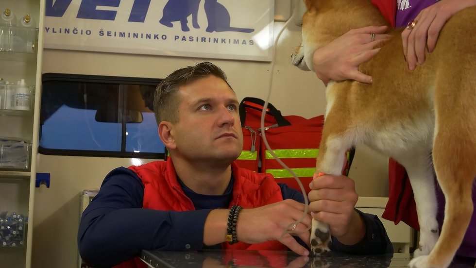 Pirmasis greitosios veterinarinės pagalbos automobilis išriedėjo į Kauno gatves