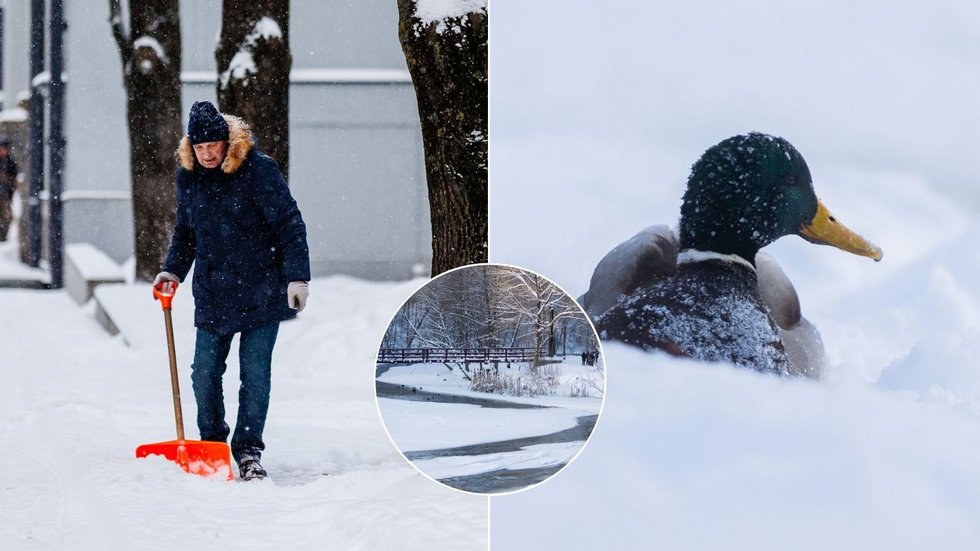 Žiema (tv3.lt koliažas) Žiema (tv3.lt koliažas)