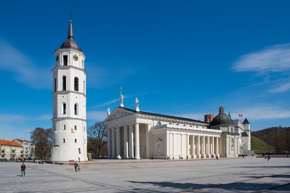 Vilniaus katedra