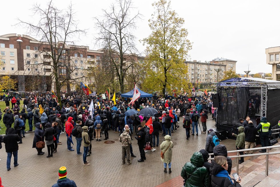 Protestas, asociatyvi nuotrauka S (Paulius Peleckis/ BNS nuotr.)