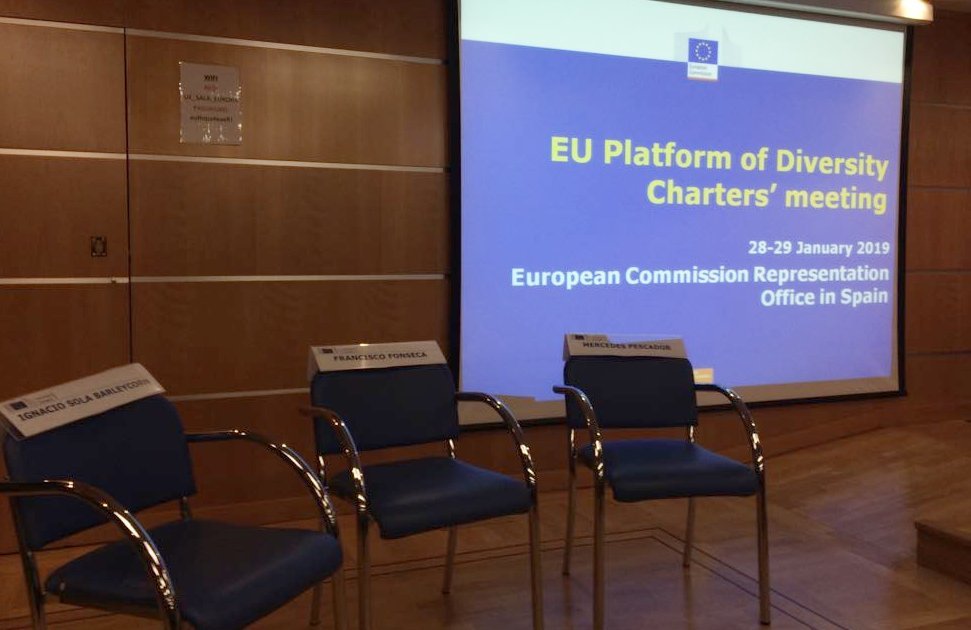 ES Įvairovės chartijų platformos susitikimas vyko Madride. (nuotr. asm. archyvo)