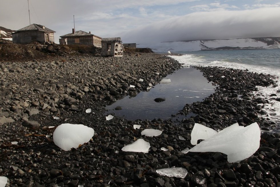 Gyvenimas Arktyje (nuotr. SCANPIX)