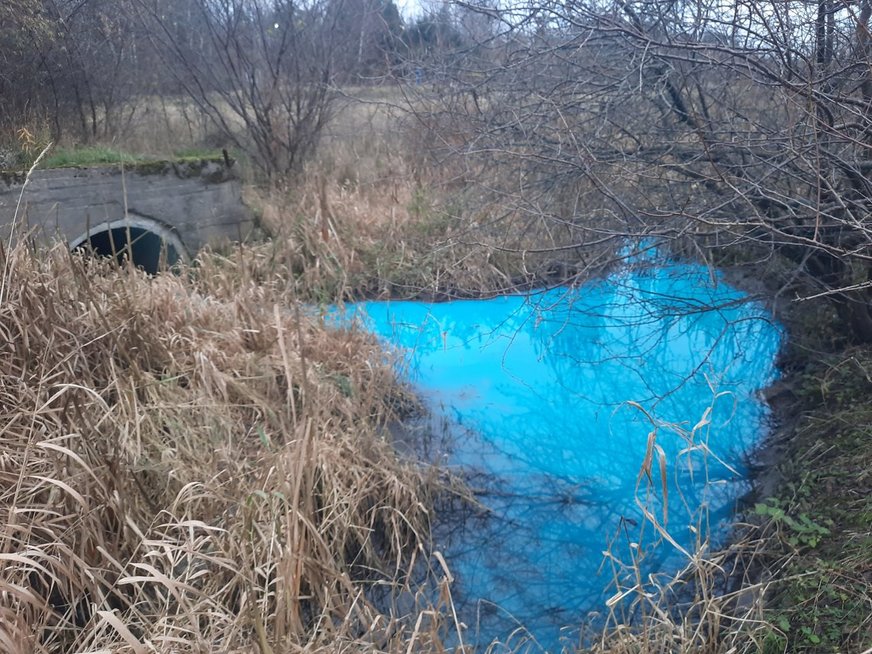 Kretingoje lietaus drenažo kanalas nusidažė mėlynai