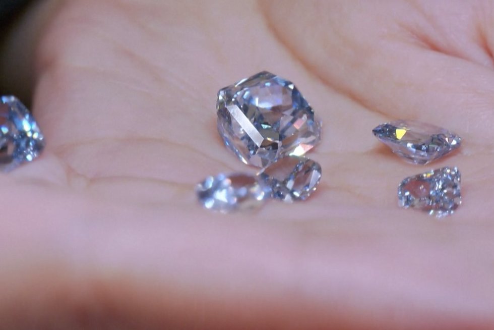 Itin reta mėlynųjų deimantų kolekcija: jos vertė – daugiau nei 70 mln. eurų (nuotr. stop kadras)