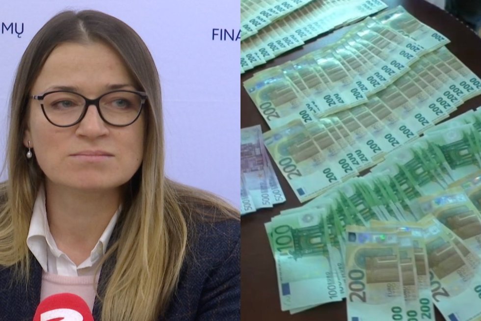 Lietuviai įtariami bandę pasisavinti 2,7 mln. eurų ES lėšų: prokurorė atskleidė jų darbo schemas (tv3.lt koliažas)
