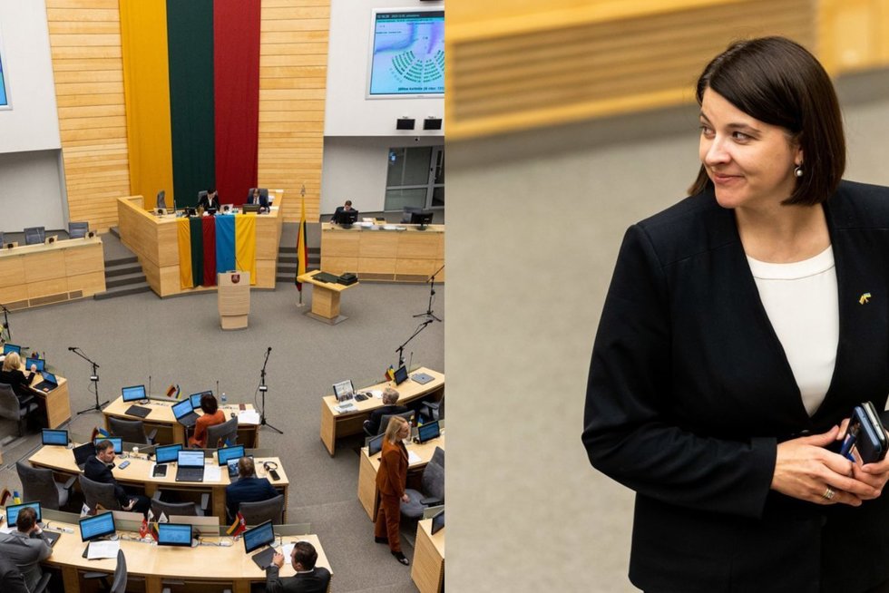 Opozicija kaltina valdančiuosius, kad praskolins Lietuvą: biudžeto išlaidos auga sparčiau nei pajamos (tv3.lt koliažas)