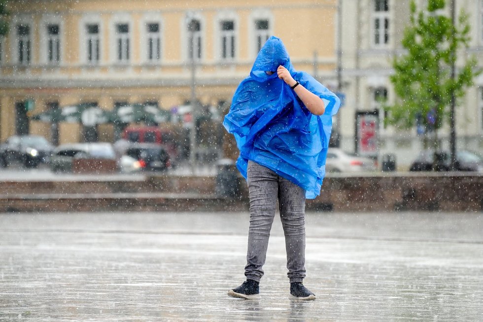 Lietus (Fotodiena/ Viltė Domkutė)