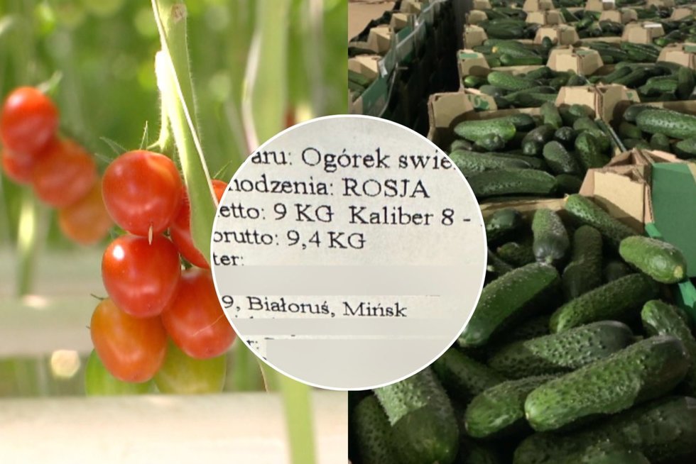 Į Lietuvą importuojamos daržovės galimai yra rusiškos (tv3.lt koliažas)