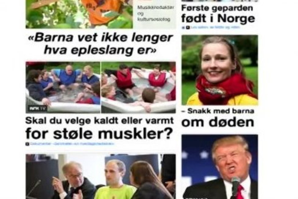 Norvegijos dėmesį prikaustė šalį sukrėtęs 8-metės lietuvės Monikos nužudymas (nuotr. TV3)