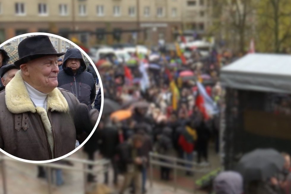 Protestas prie Seimo (tv3.lt koliažas)