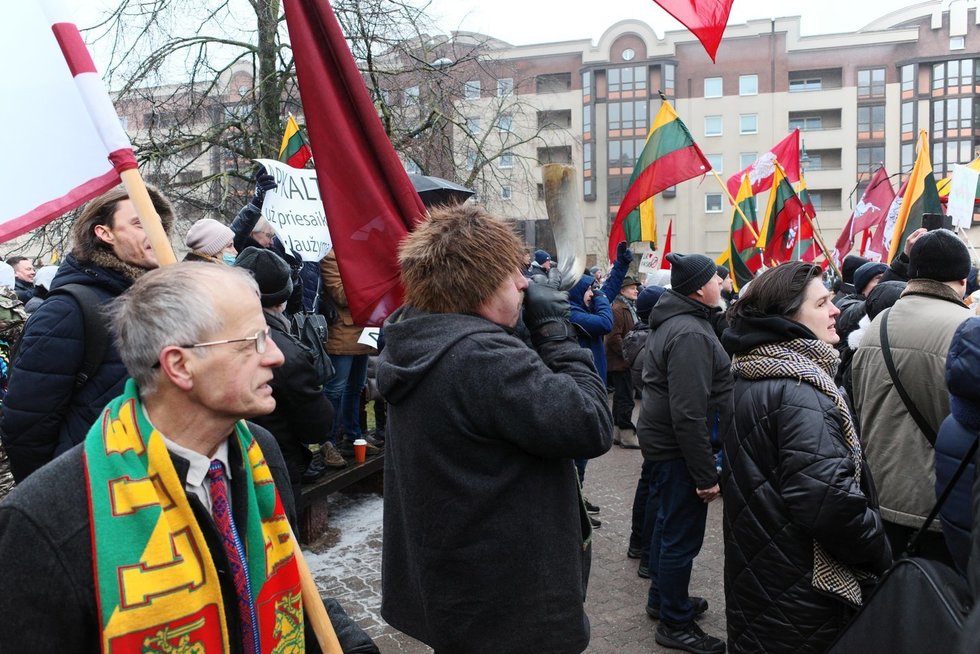 Sausio 13 d. minėjimas ir protestas prie Seimo (nuotr. Broniaus Jablonsko)