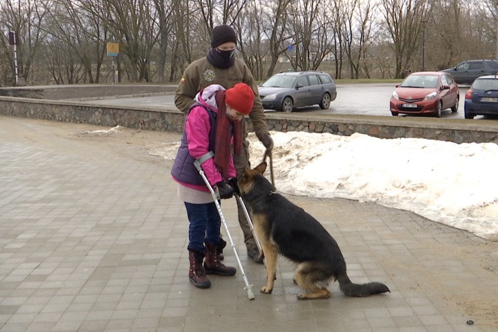 Lietuvoje tokie – vos keli: kaip šuo asistentas palengvina gyvenimą turintiems negalią (nuotr. stop kadras)